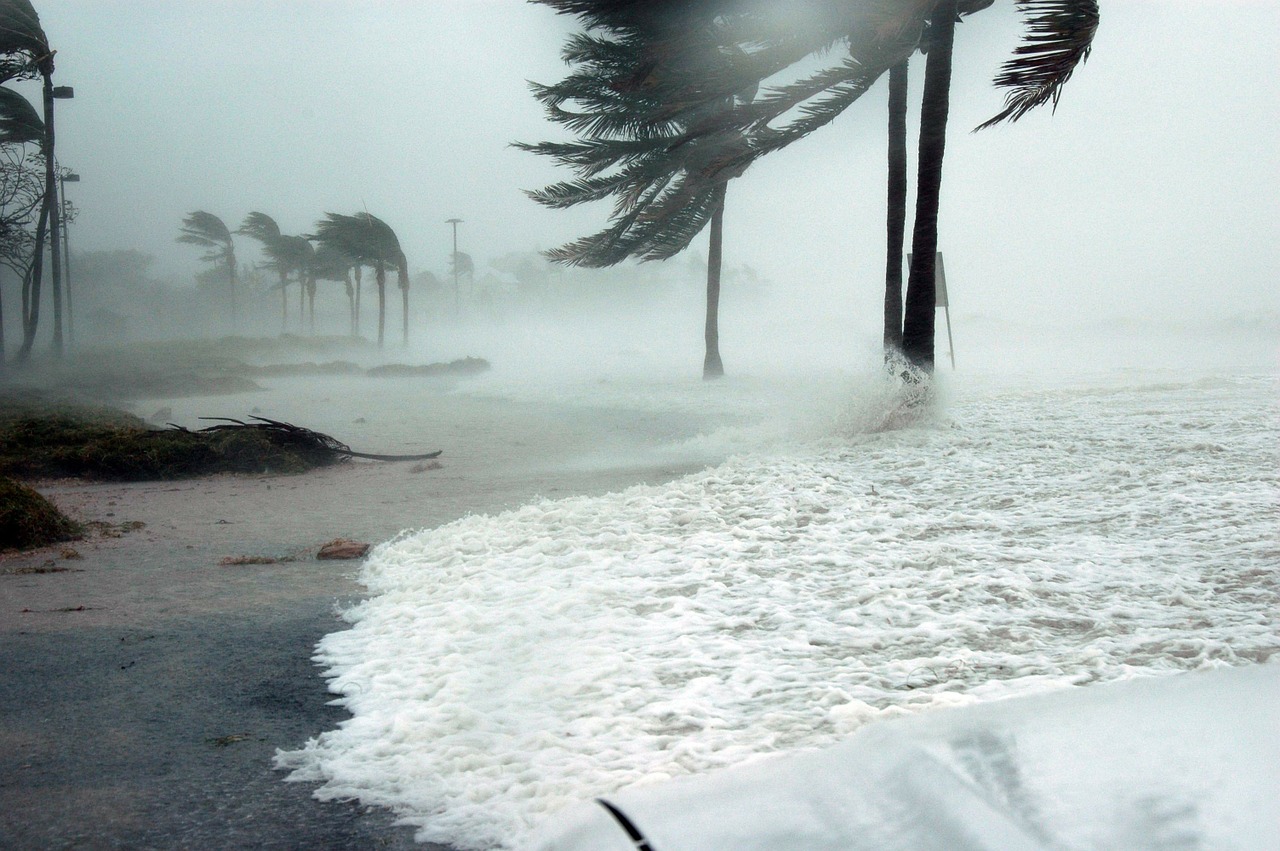 Hurricane Shutters Jacksonville